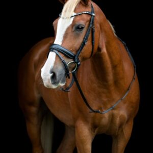 HG Cryll 25.Tilbagetræk sort trense